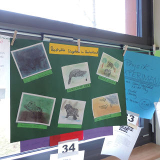 plakat-eineln-bedrohte-seugetiere-in-deutschland Montessori-Schulzentrum Leipzig - Neuigkeiten - Projektwoche 2014 beginnt